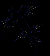 blue dragon slug by venam