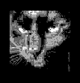 Kiki by littlebitspace