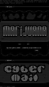 crap colly #1 by terd