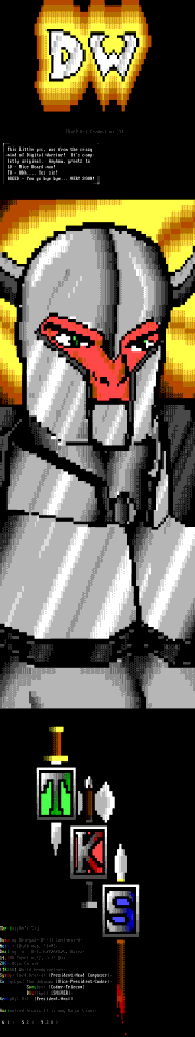 The Knight's Sky BBS by Digital Warrior